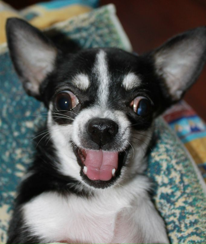 Владимир Дарымов wAlD | 