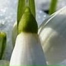 Светлана Смирнова | Новосибирск