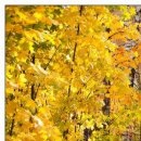 №8, Олег Водинов, Череповец №8, Олег Водинов, Череповец