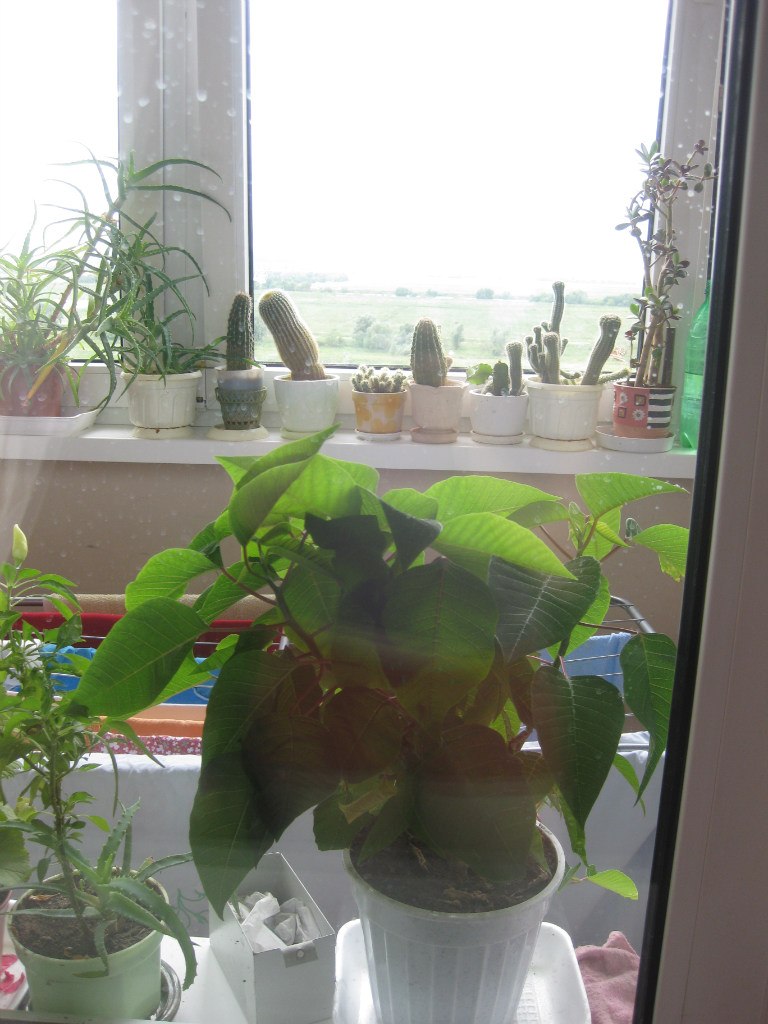 Tanya Mazazolina | Москва