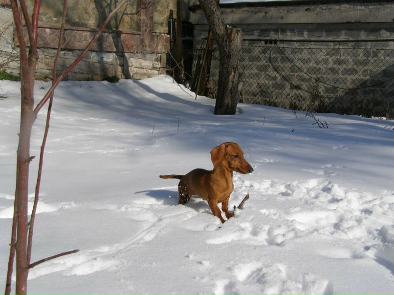 Мария Рыженко | Киев