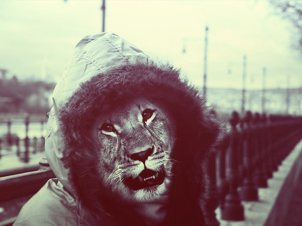 №36, Евгений Львов, 43 года, Санкт-Петербург №36, Евгений Львов, 43 года, Санкт-Петербург