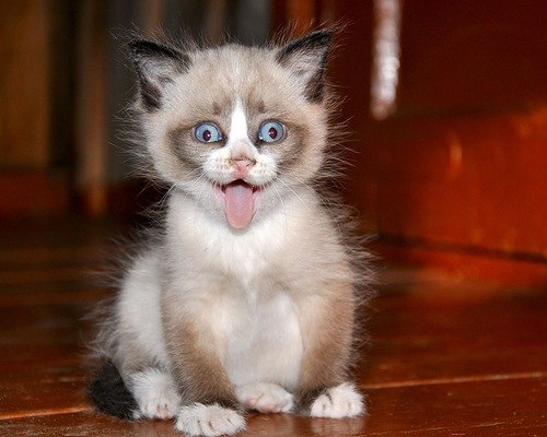 Татьяна Кирьянова | Санкт-Петербург