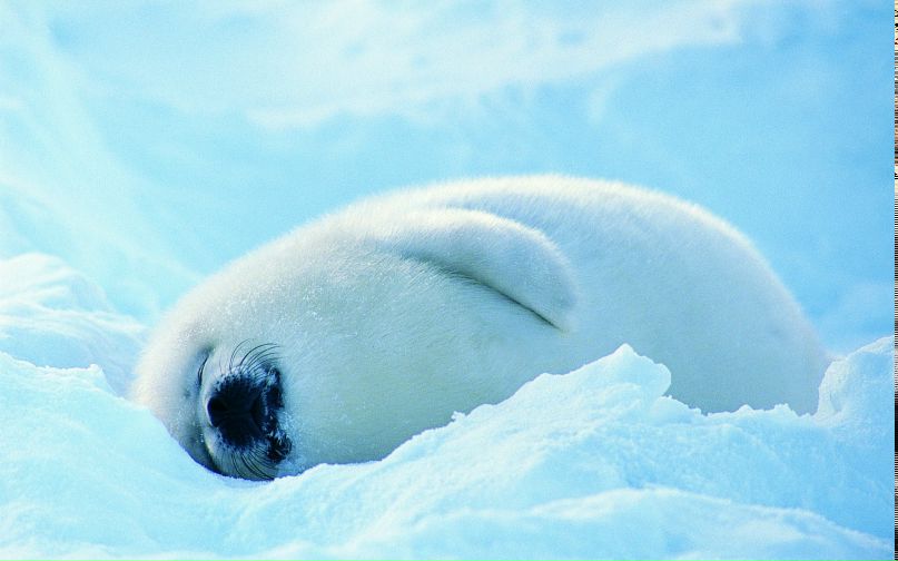 Анастасия Майорова | Москва