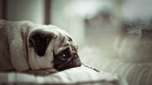 Лена Каплина | Нижний Новгород