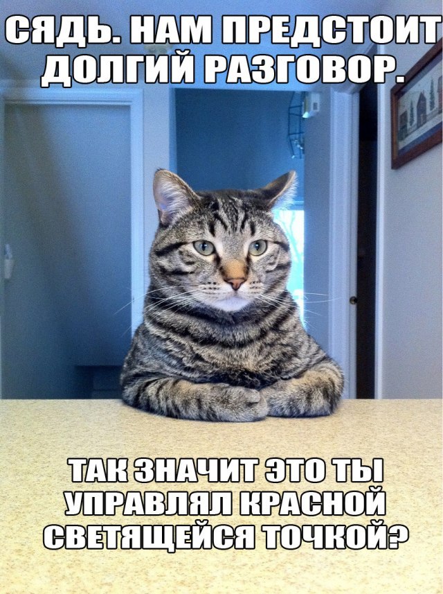 Константин Наумов | Липецк