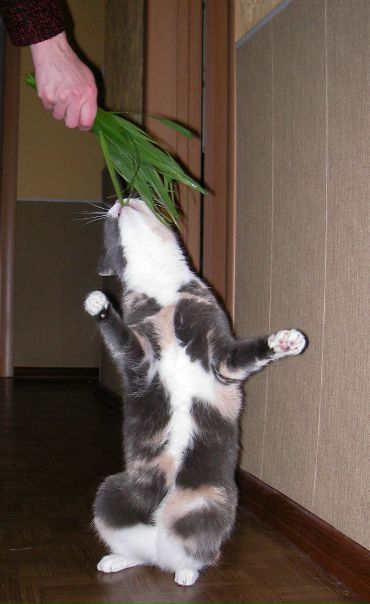 №29, Мария Мандрик, 36 лет, Kotka, Финляндия №29, Мария Мандрик, 36 лет, Kotka, Финляндия