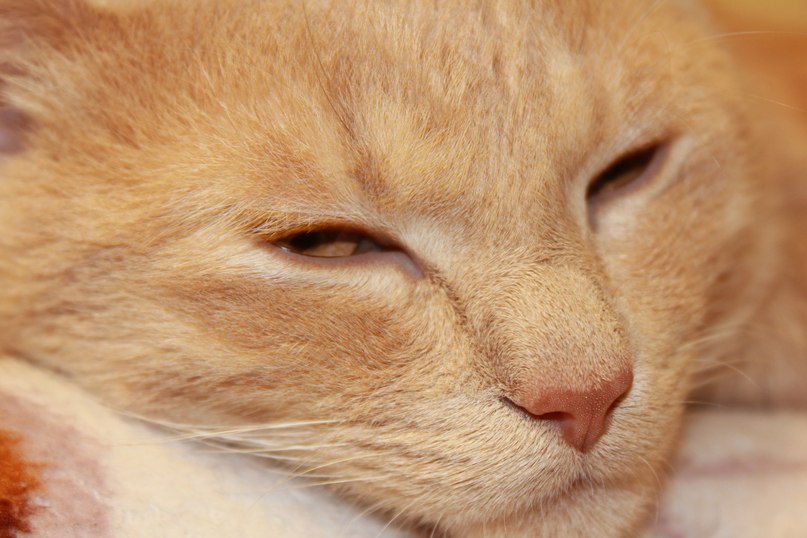 Ксения Тимофеева | Москва