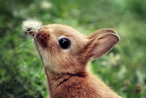 Ксюша Миненкова | Харьков