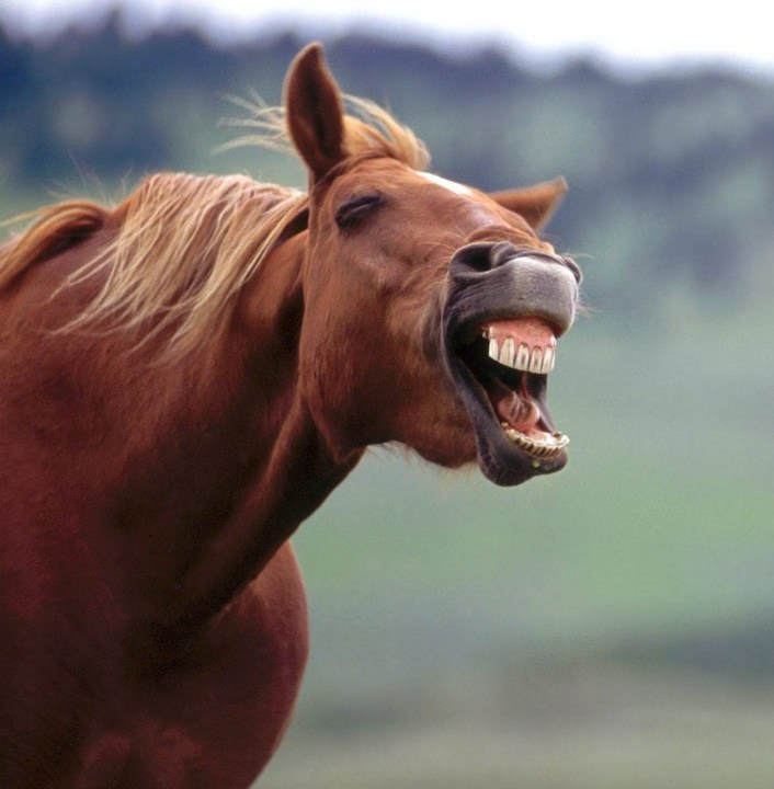 Женька Спли | Тюмень