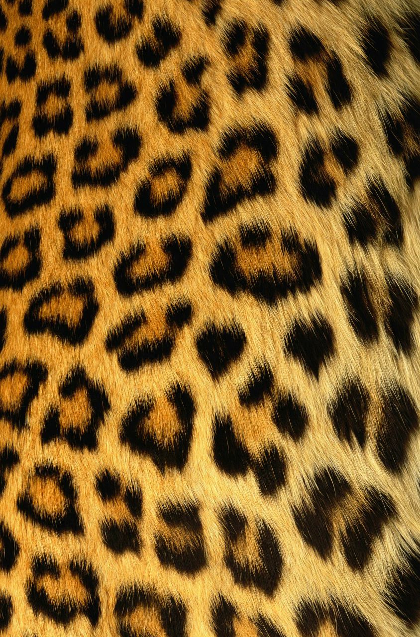 Nastya Koneva | Минск