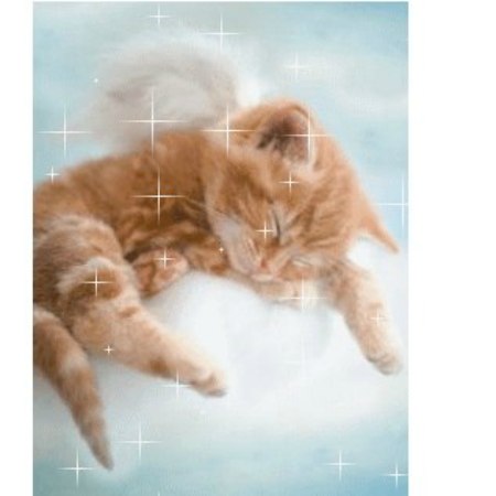 Яна Корниенко ♥♥♥СоЛнЫшКо♥♥♥ | Запорожье