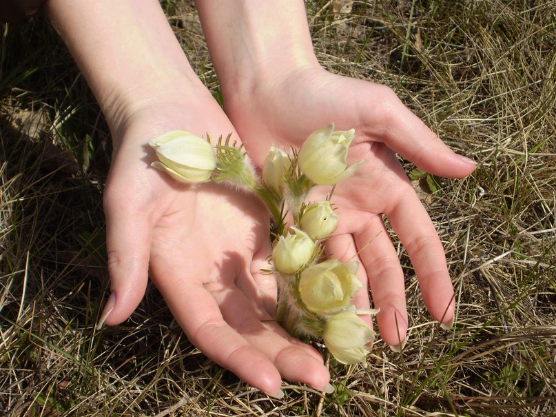 Екатерина Еременко | Новосибирск