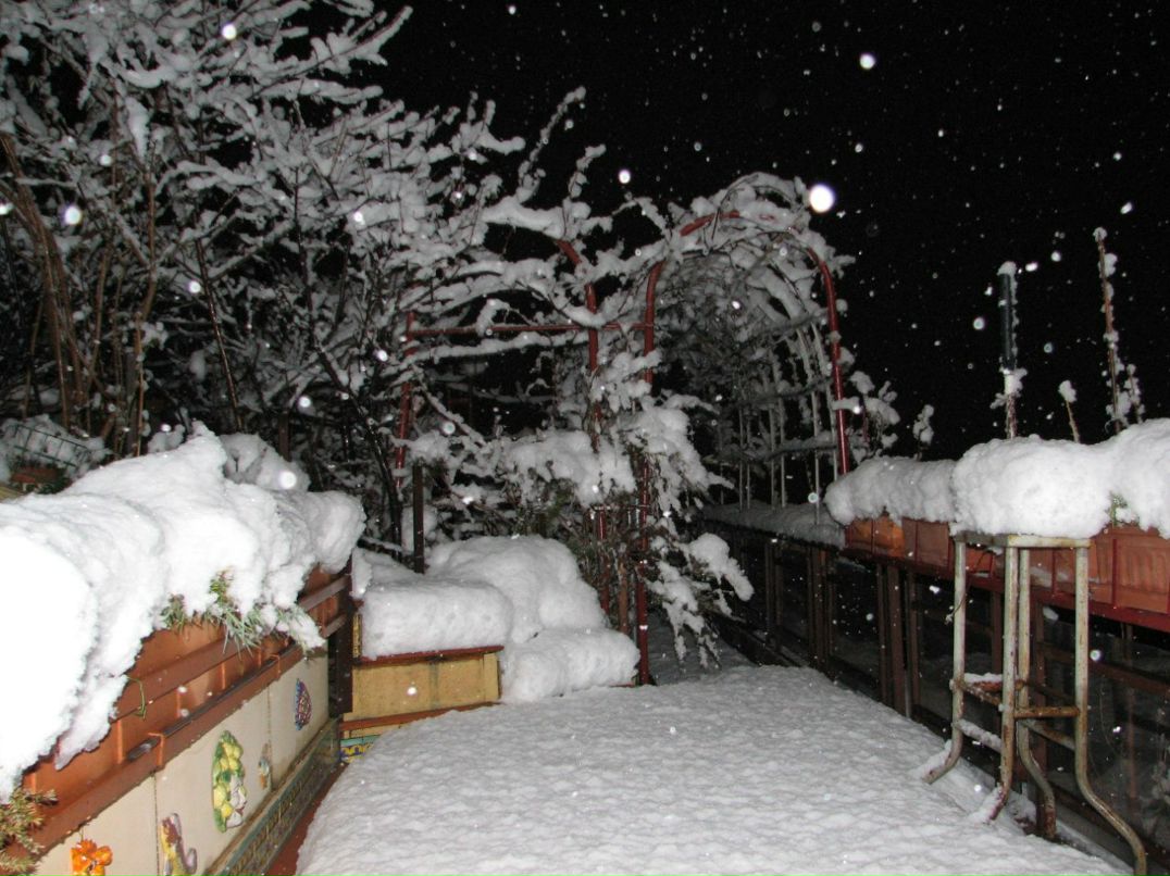 Natalia Mychaylychyn | Киев