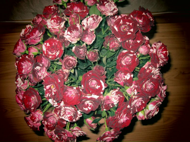 Светлана Голубева | Рига