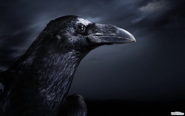 №2, Артем Донцов, Карталы №2, Артем Донцов, Карталы