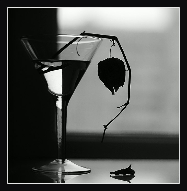 Маэстро Лео | 