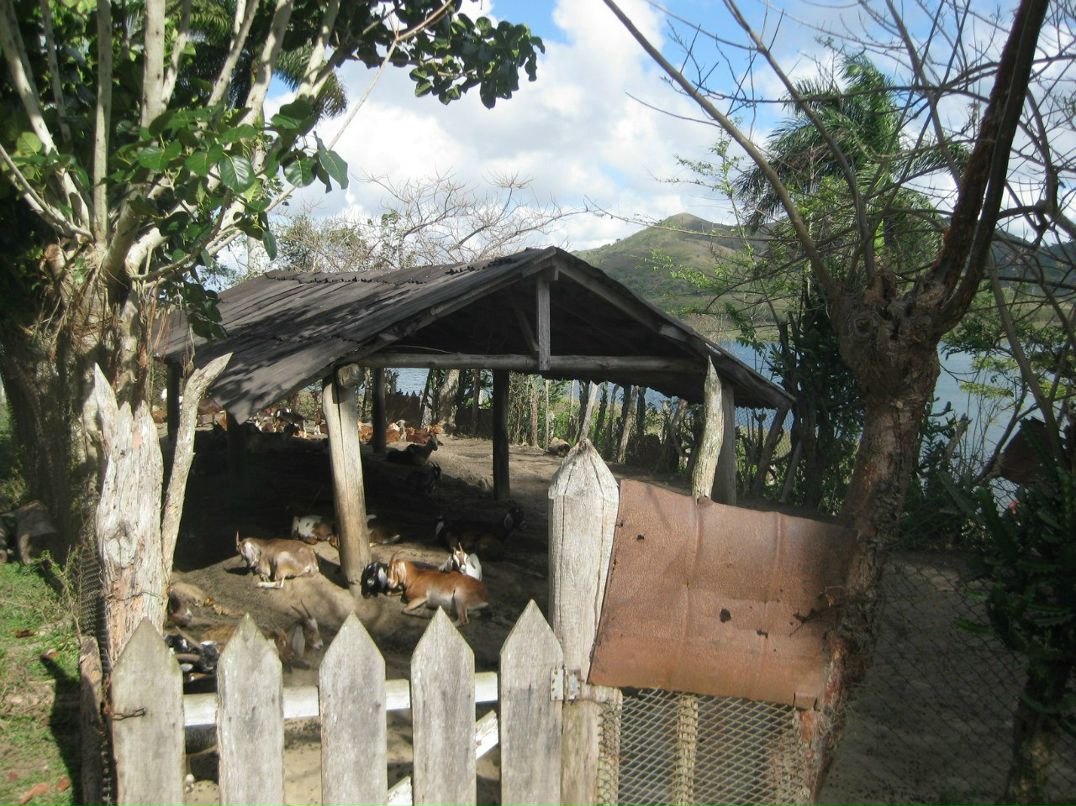 Anna Sinyanskaya | Екатеринбург