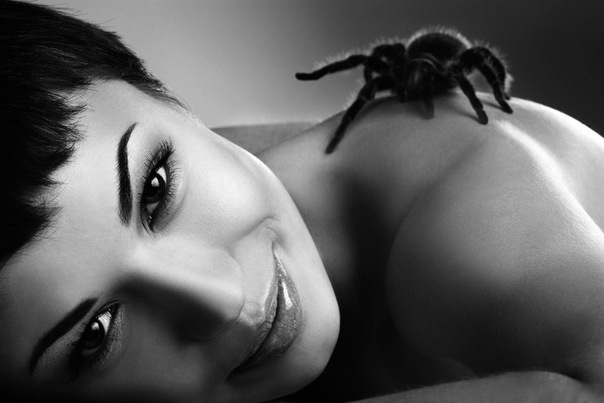 №181, Екатерина Ходжаева, Зеленоград №181, Екатерина Ходжаева, Зеленоград