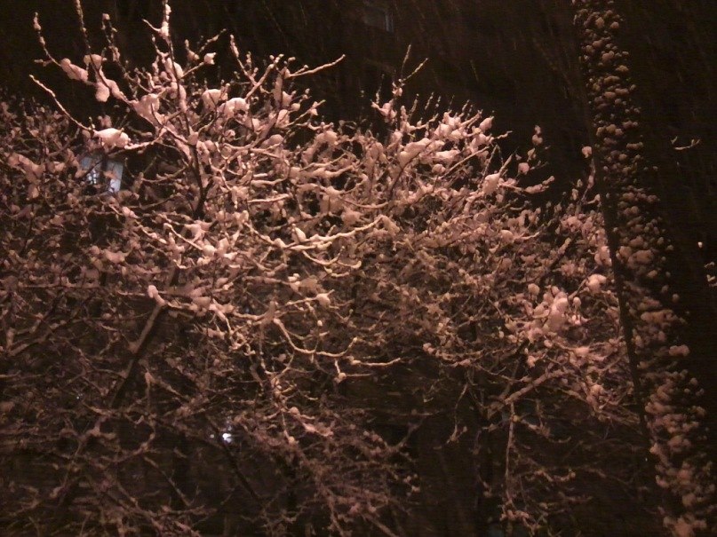 Любовь Татаренкова | Бердянск