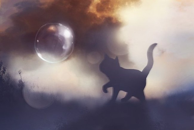 Анастасия Вайнерова ｡◕‿◕｡ | Санкт-Петербург