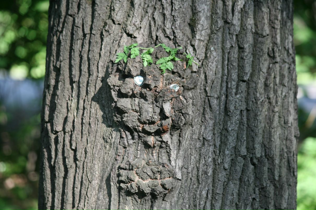 Саша Пастухова гайка | Москва