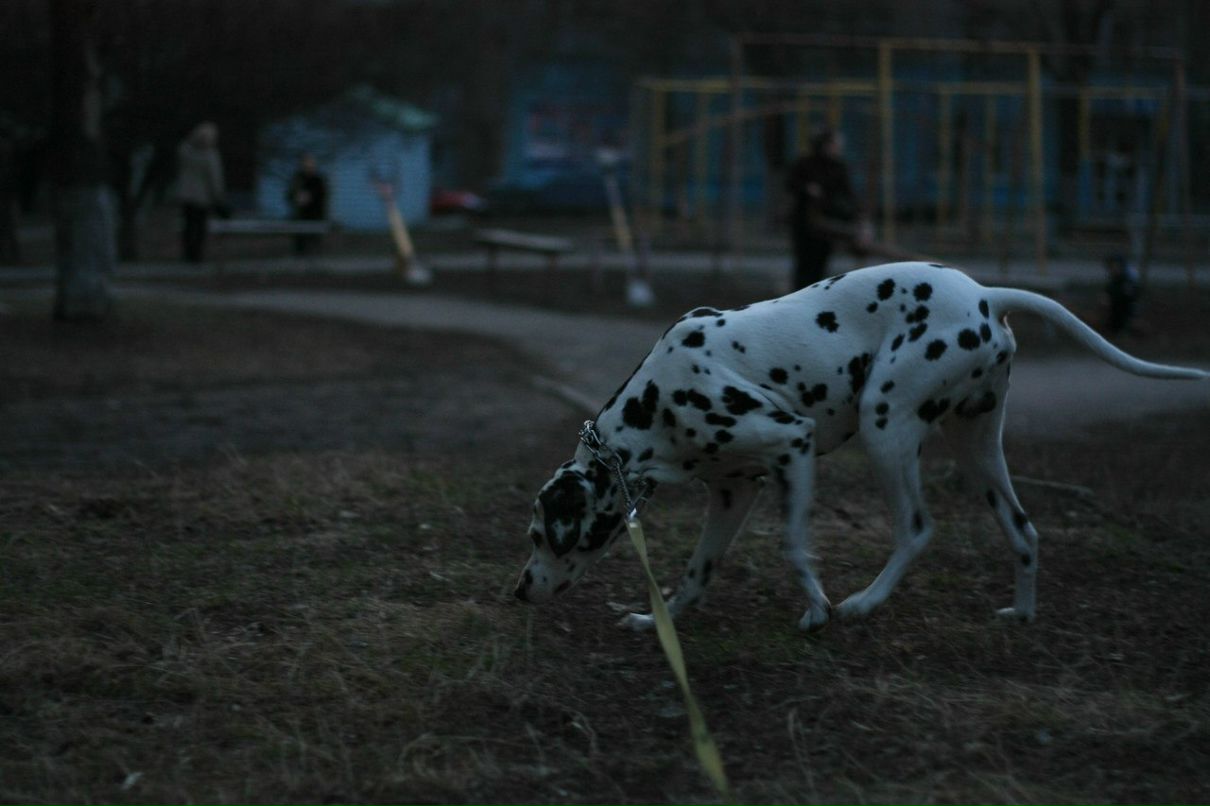 Славик Аджигитов | Москва