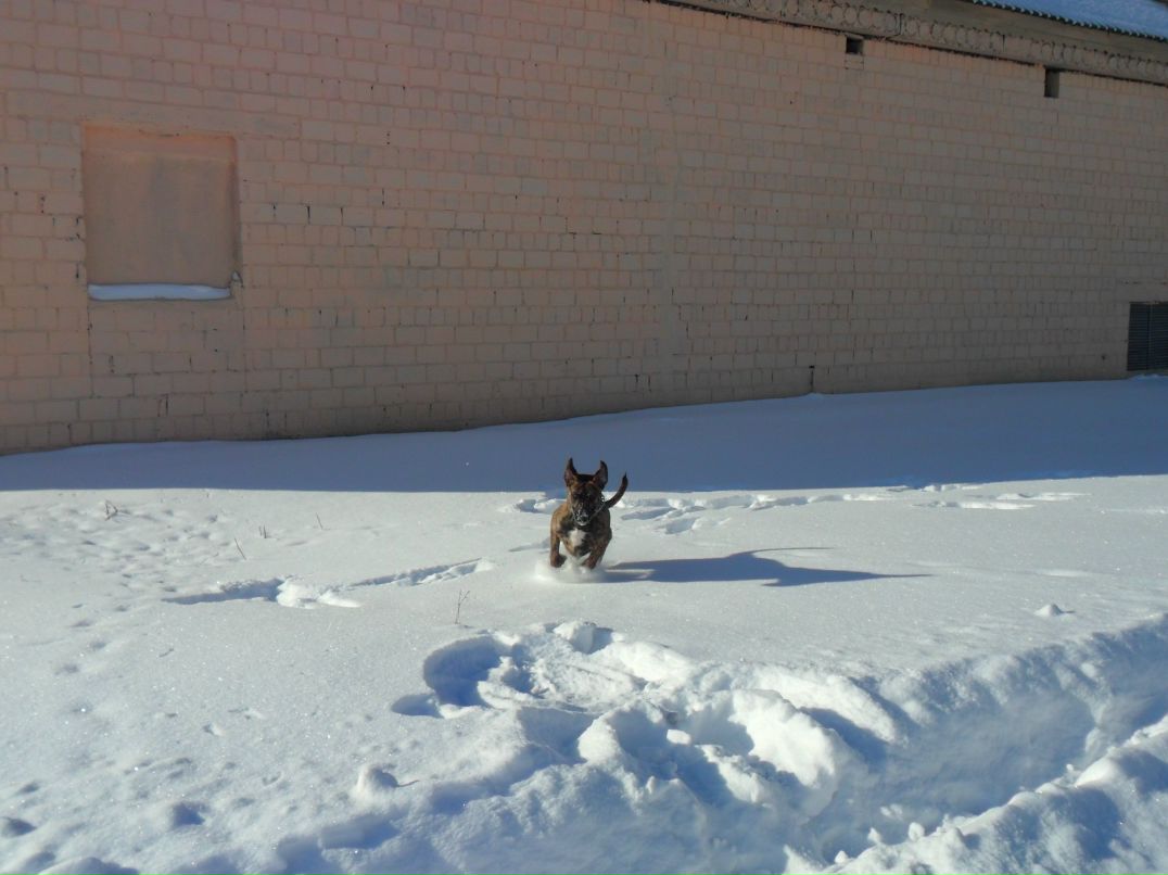 Александр Колодей 웃♥유 | Жлобин