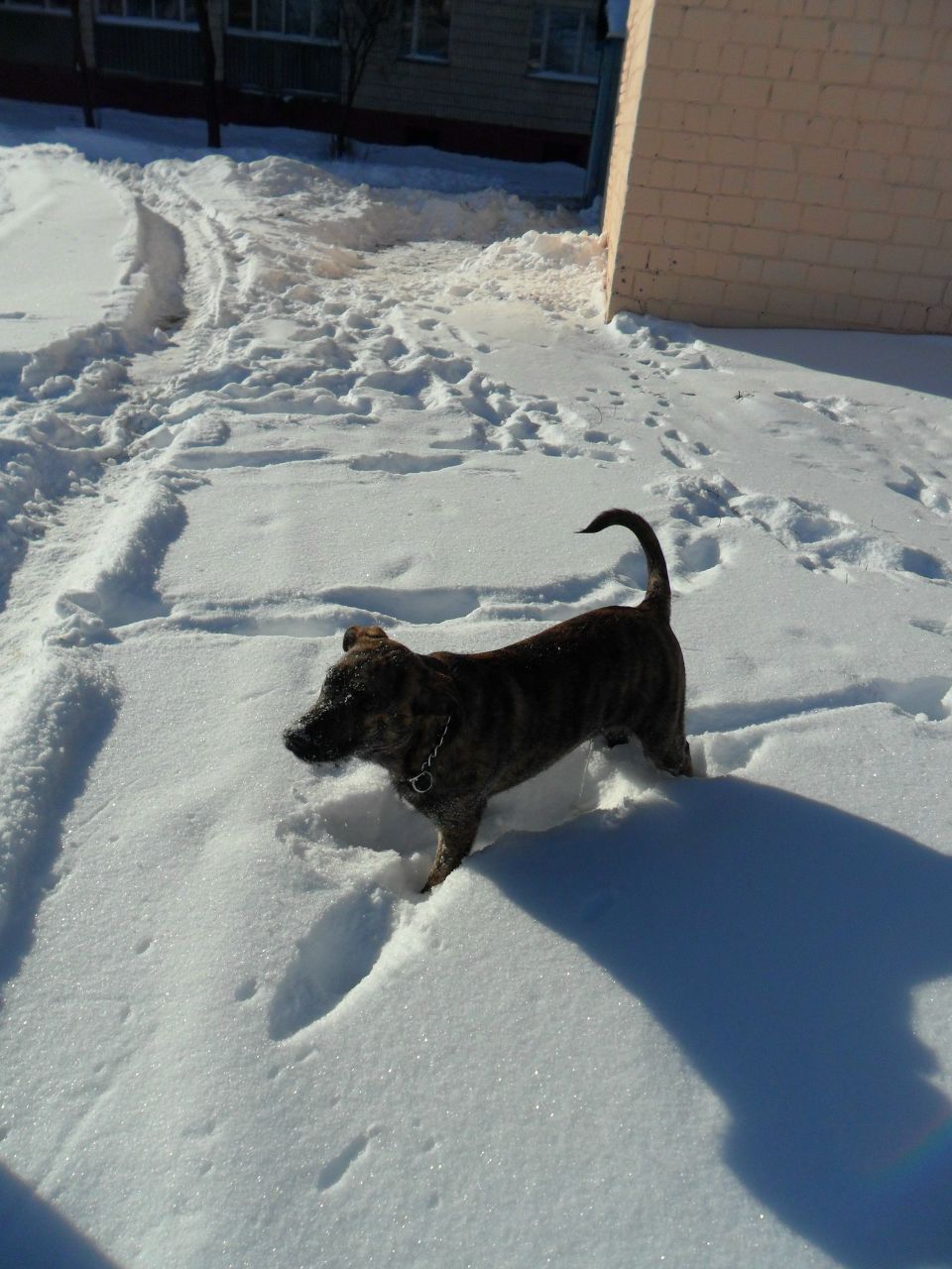 Александр Колодей 웃♥유 | Жлобин