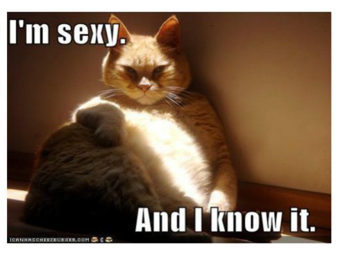 Павел Юшкевіч | Toruń