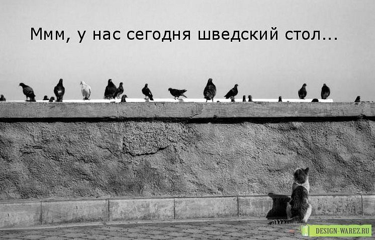 Мария Моисейчева | Киев