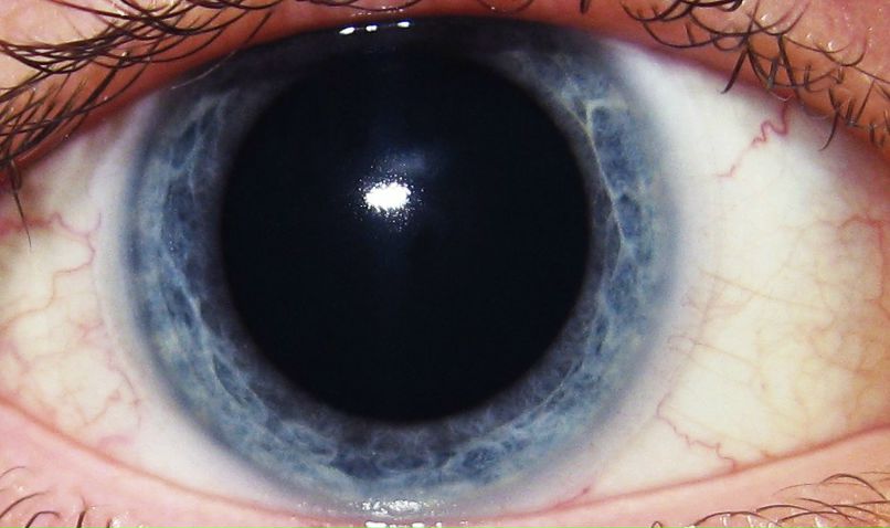 Дмитрий Чернов | Челябинск