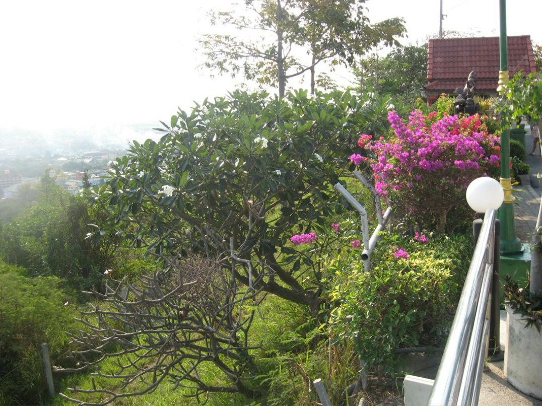 Екатерина Кудревич | Санкт-Петербург