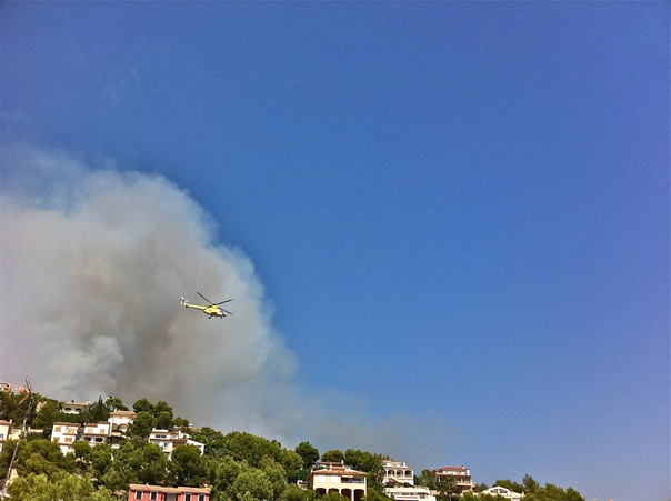 №76, Богдан Куницкий, Palma №76, Богдан Куницкий, Palma