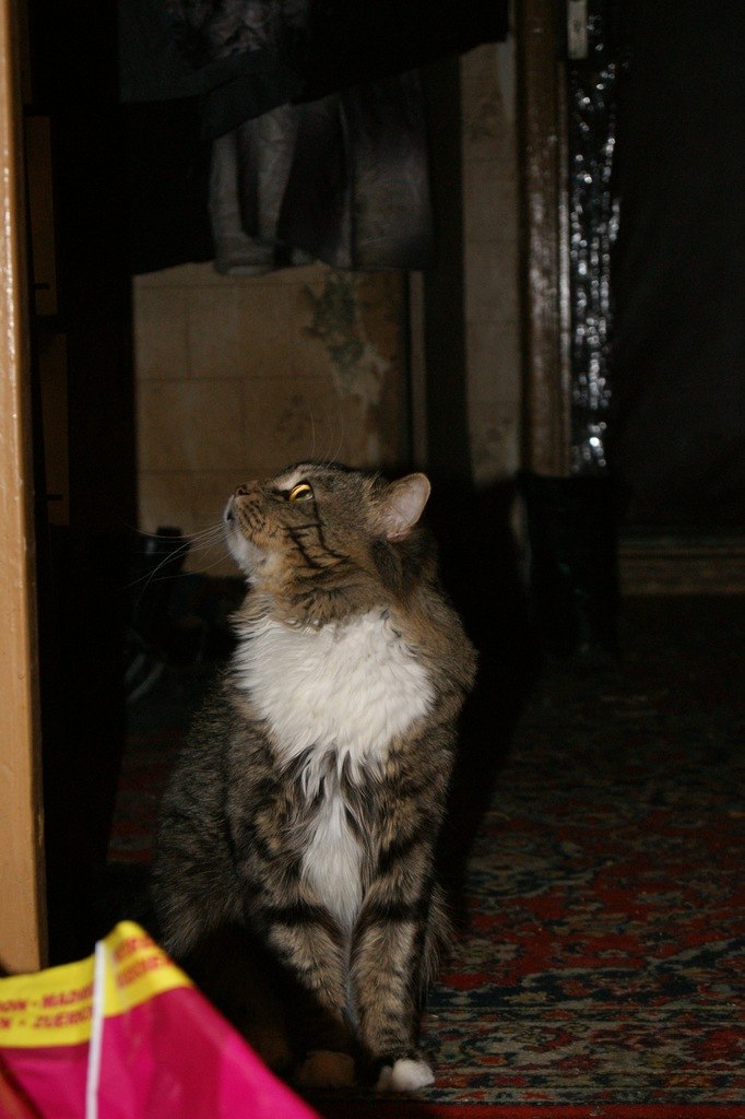 Лерия Ефремова Одинокая Ром@шка | Москва