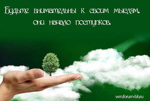 Nelly Alexeevna | Сочи