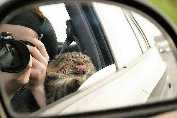 №16, Милана Хасиева, Владикавказ №16, Милана Хасиева, Владикавказ