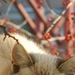 Аня Маслова фотография #43 (источник - https://vk.com/id151385874)