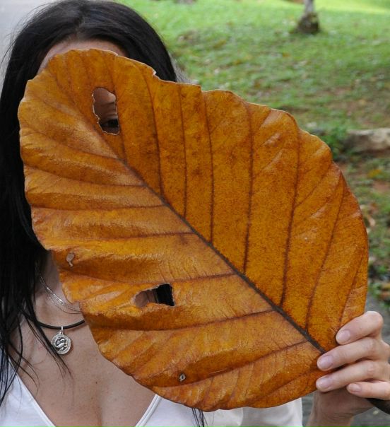 №14, Таня Птичка Титова, Пермь №14, Таня Птичка Титова, Пермь