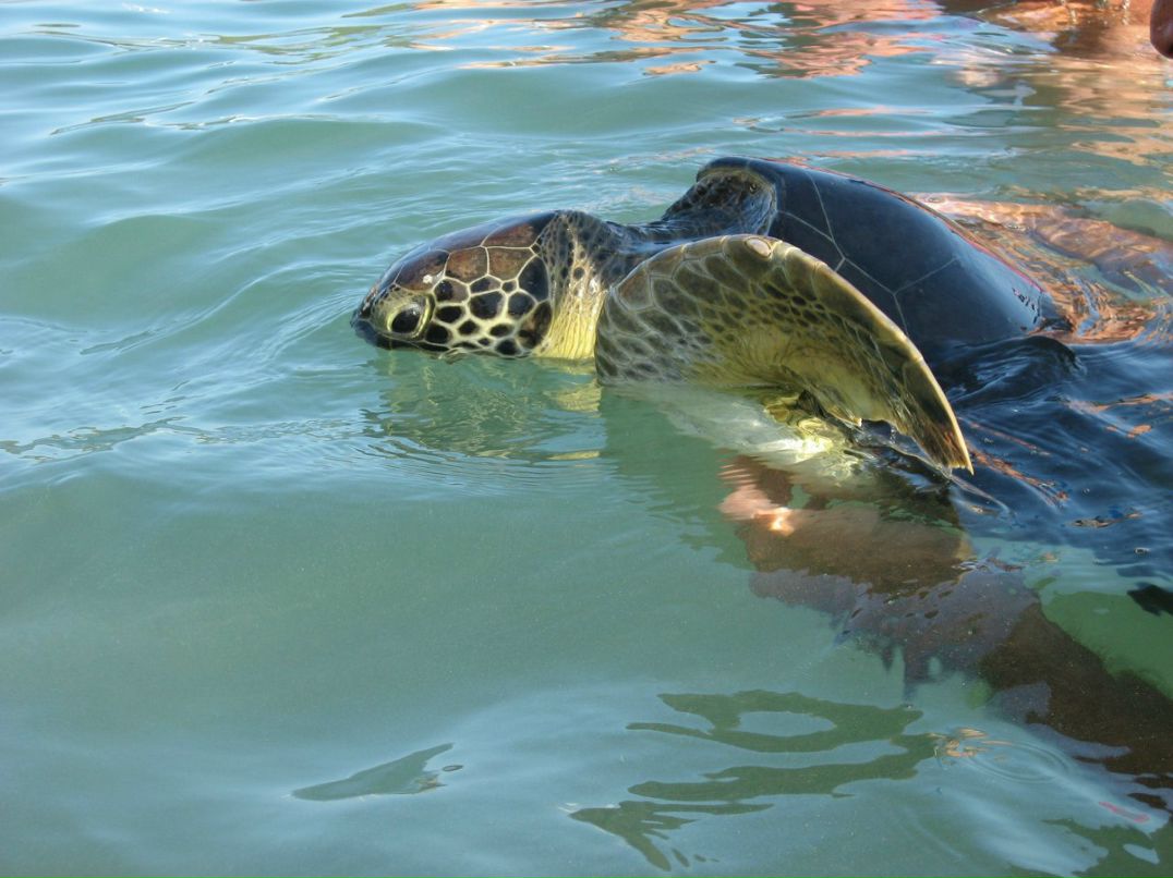 Виктор Фатерин | Новосибирск