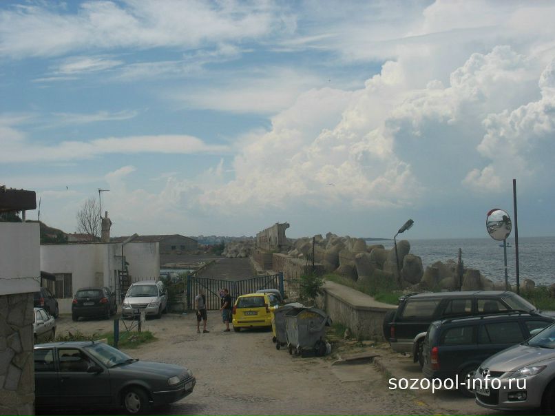 Ольга Димова | Житомир