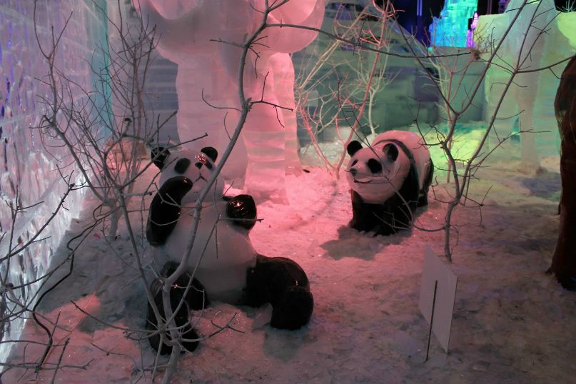 Мальвина Дронова | Нижний Тагил