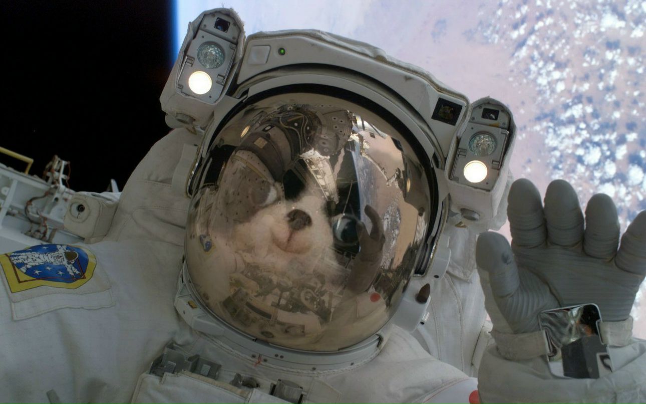 Сессия Летняя | Mayaro