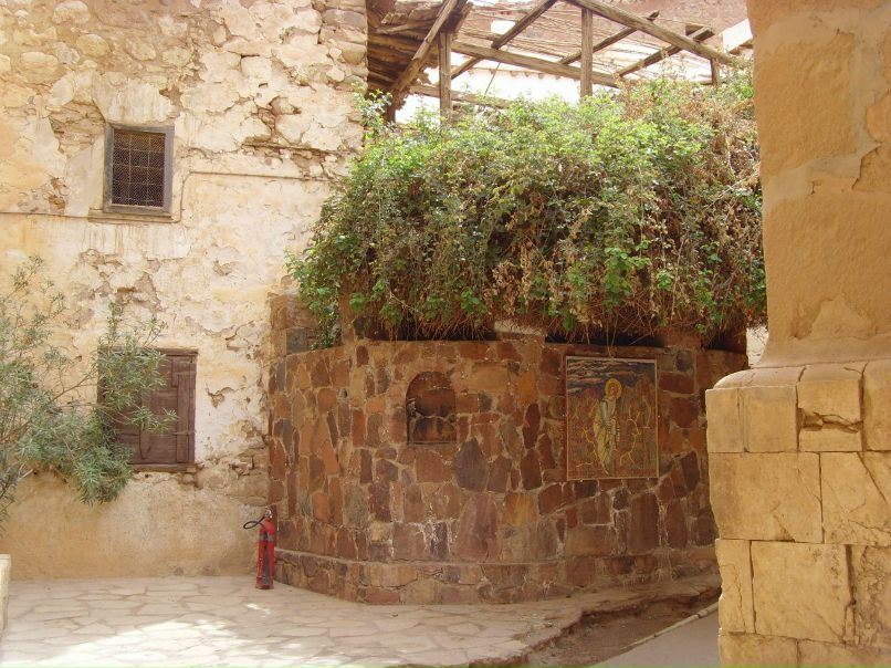 Лидия Вайланд | Leipzig