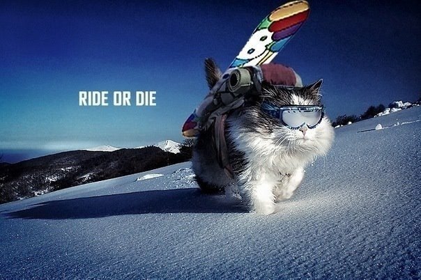 Мария Харлачёва | Петрозаводск