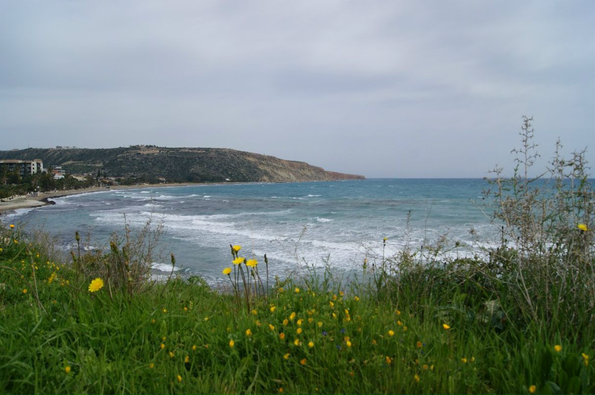 Анатолий Зырянов | Москва