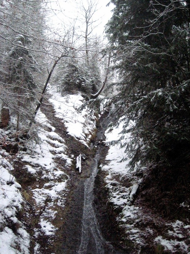 Екатерина Медведева | Санкт-Петербург