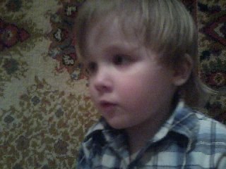 Светлана Балашова | Борок