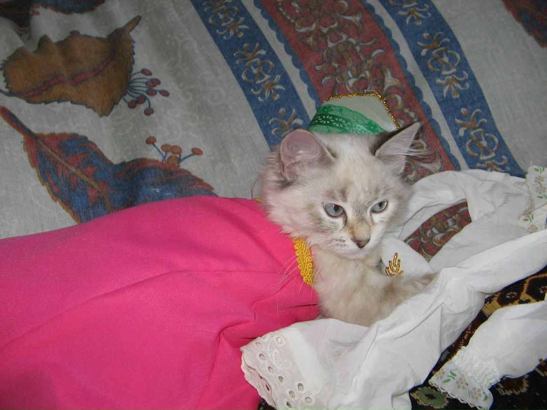 Людмила Коноплева | Самара