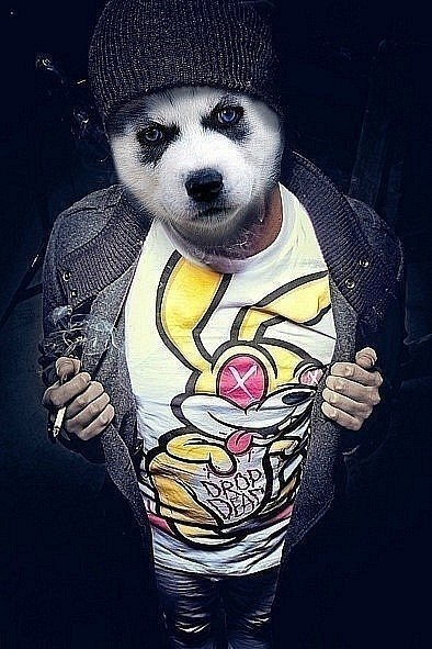 Олексій Шкільнюк | Клишковцы